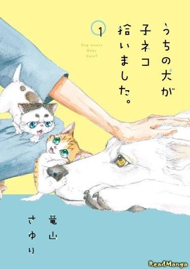 Пёс встречает котят