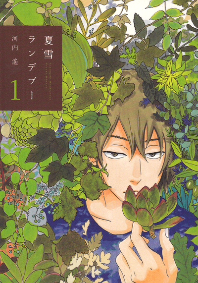 Встреча под летним снегом