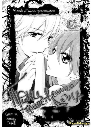 Принц таинственного дома