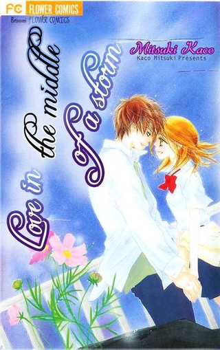 Любовь среди шторма