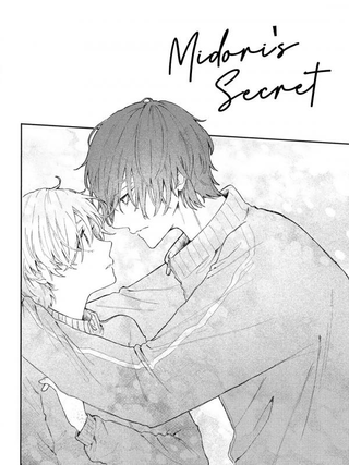 Секрет Мидори