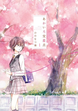 Перекрёсток Акаиро