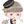 Gene