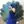 Kimpeacock