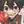 Shinagire